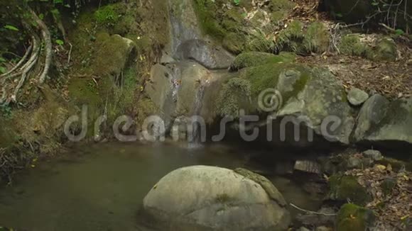 绿色热带森林中的小瀑布丛林中的天然山公园有巨石和苔藓视频的预览图