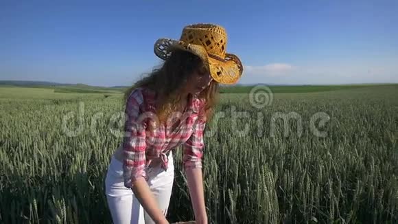 那个农民女孩把一小撮麦粒倒进麦田里视频的预览图