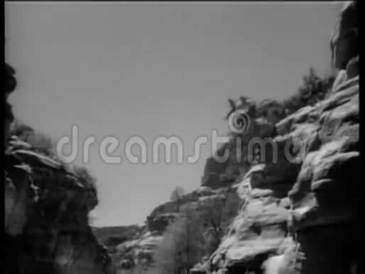 一对坐在马车上的夫妇从悬崖上跌入河中视频的预览图