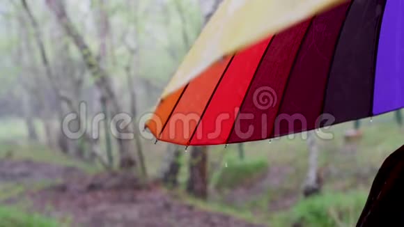 彩虹伞在雨中的绿色背景上视频的预览图