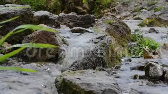 在石头和草地的背景下河流中的快速水视频的预览图