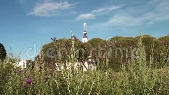 蓟丛和教堂穹顶景观视频的预览图