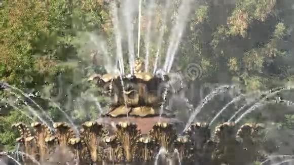 喷泉城视频的预览图