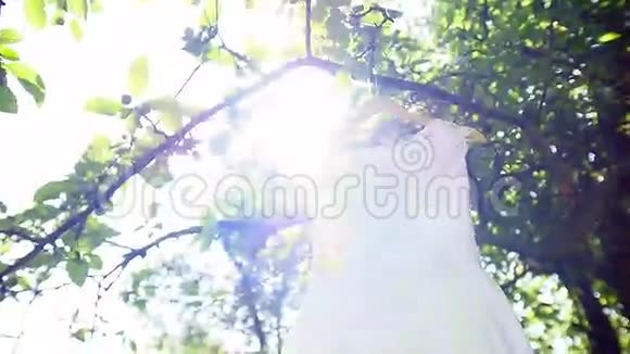 婚纱挂在树枝上视频的预览图