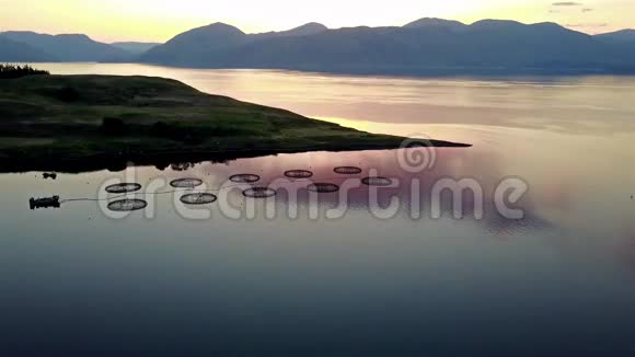 日落时飞过林河湖视频的预览图