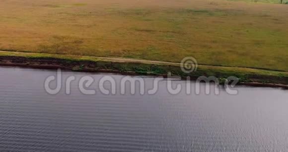 伏尔加河附近的田野从四架飞机飞过森林视频的预览图