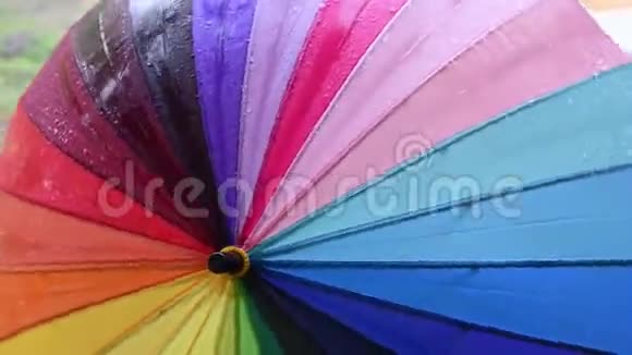 彩虹伞在雨中的绿色背景上视频的预览图
