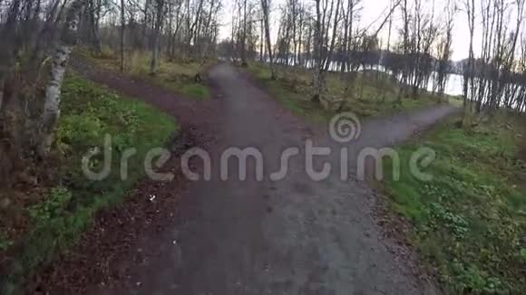 在泥泞的小径上漫步秋天的森林视频的预览图