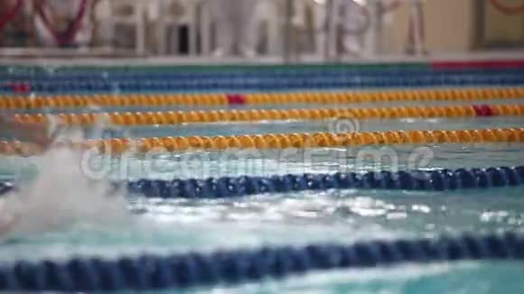 游泳比赛女子自由泳视频的预览图