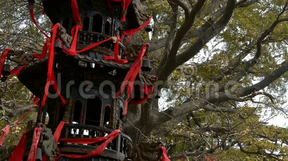 香炉和银杏树在风中纪念碑古董文化视频的预览图