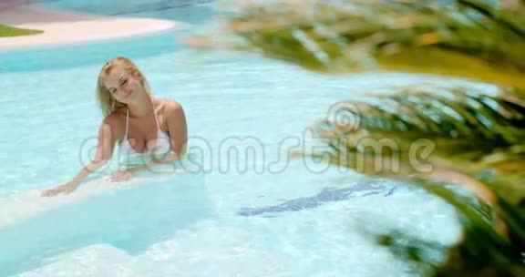 棕榈叶后游泳池里的女人视频的预览图