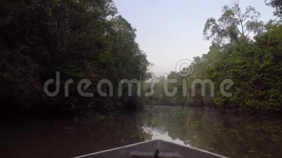 清晨在热带河乘舟视频的预览图