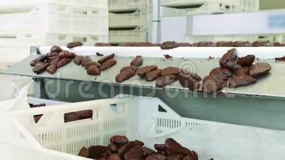 糖果厂巧克力糖果躺在传送带上视频的预览图