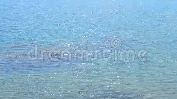 蓝色的水面在阳光下闪闪发光视频的预览图