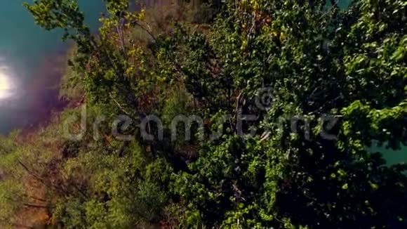 兰尼埃山从树后露出视频的预览图