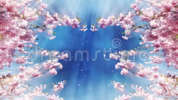樱花树和蓝天视频的预览图