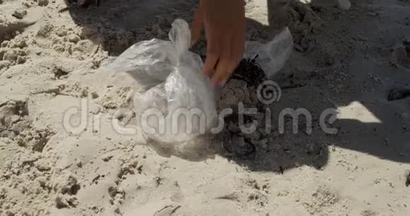 女志愿者在阳光明媚的4k天清洁海滩视频的预览图