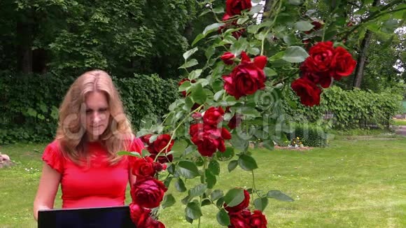女孩在网上聊天笔记本电脑坐在公园的花丛玫瑰上视频的预览图