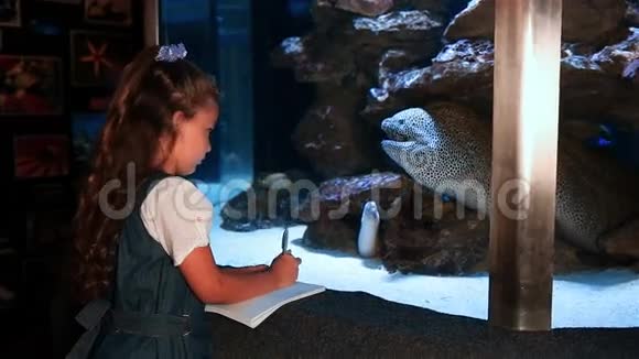 小女孩看着热带鱼在水池里游泳视频的预览图