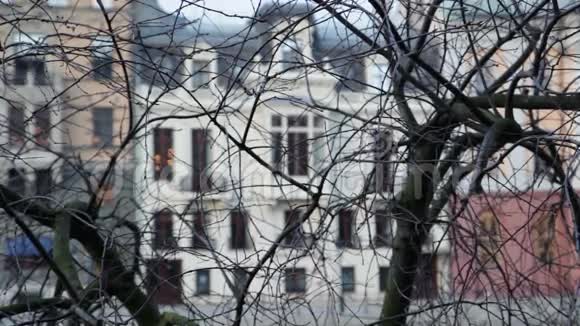 历史建筑虽然裸露的树枝视频的预览图