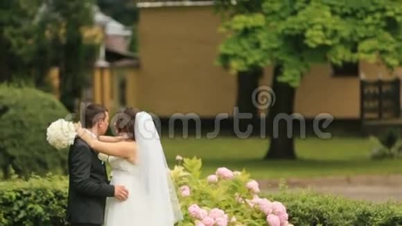 新婚快乐拥抱在绿色的夏天公园英俊的新郎温柔地拥抱他可爱的新娘视频的预览图