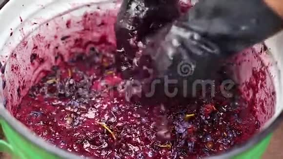 回收成熟葡萄用于葡萄酒生产视频的预览图
