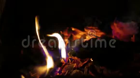 营火营火夏季燃火4K视频的预览图