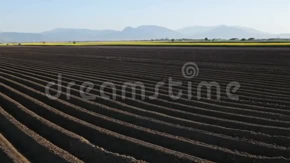 春季的马铃薯田农村的农田视频的预览图