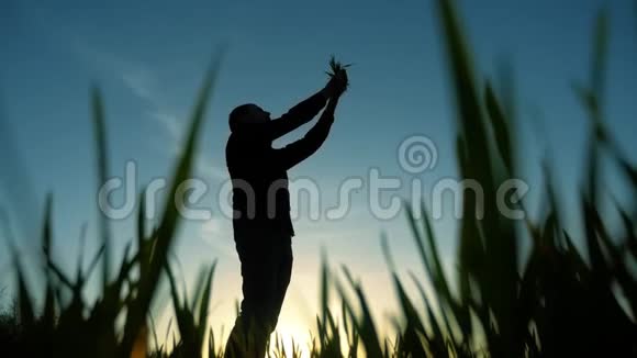 田里种草的农夫科学家在夕阳下探索农业概念生态视频的预览图