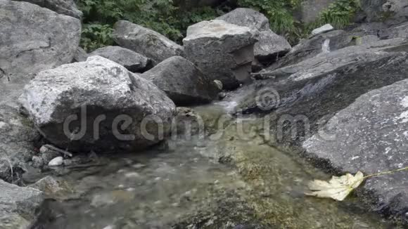 夏天在阿尔卑斯山的树林里放松的小溪视频的预览图