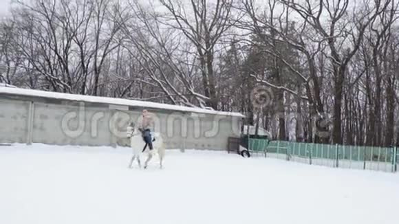 骑马的女骑师在围场里走动她在疾驰多云宁静的冬日下了点雪慢镜头视频的预览图