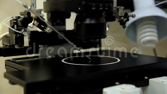 医生在显微镜下检查精子样本视频的预览图