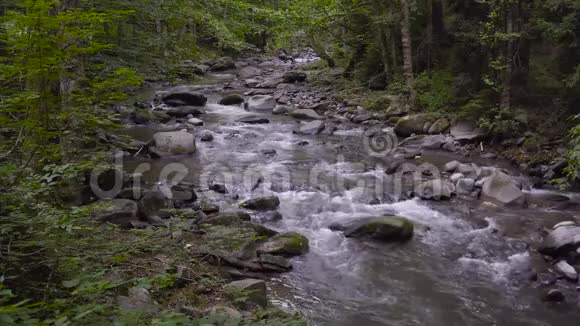 佐治亚州美丽的山河视频的预览图