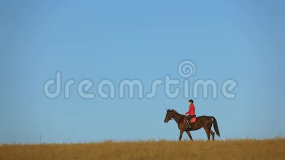 在野外骑着马的女人慢动作侧视图视频的预览图