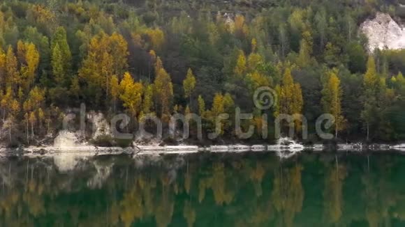 美丽的森林在平静的湖岸倒影视频的预览图