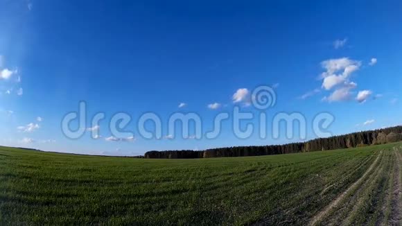 绿色的田野蓝天和移动的云彩夏天天气不错时间间隔视频的预览图