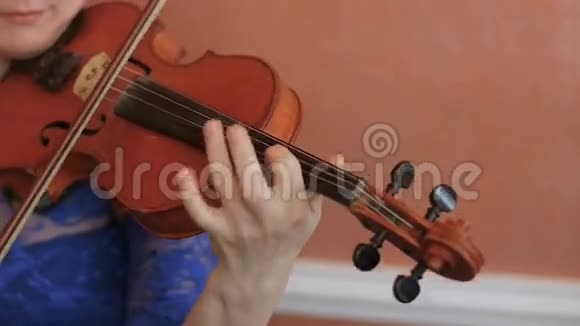 音乐家拉小提琴古典音乐的特写视频的预览图