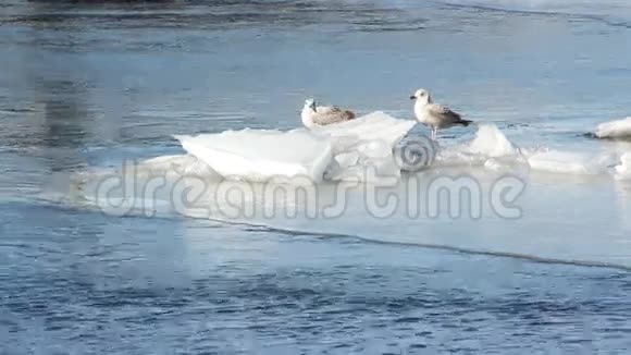 江上冰漂泉水景观视频的预览图