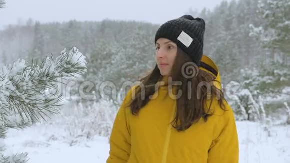 冬天女孩用雪覆盖的云杉树枝摇雪视频的预览图
