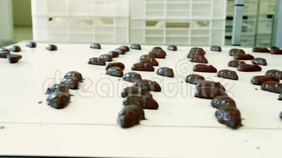 巧克力糖果躺在传送带上糖果厂视频的预览图