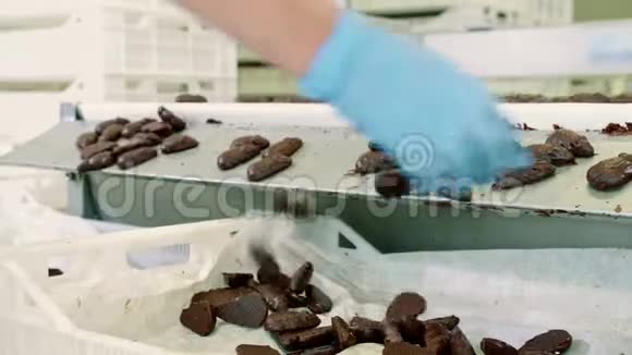 糖果厂巧克力糖果躺在传送带上视频的预览图