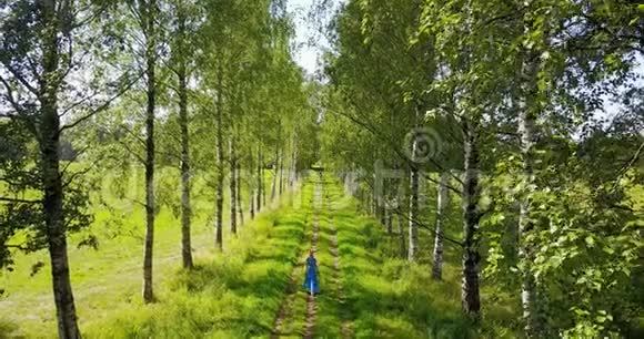 从树梢的层次看这位年轻的女人她有一头长发穿着一件蓝色连衣裙沿着桦树走视频的预览图