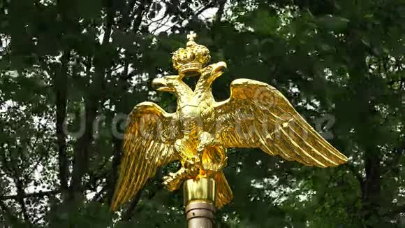 戴着皇冠的金色双头鹰4K视频的预览图