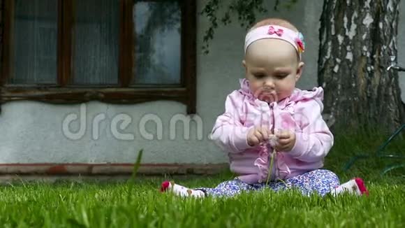 七个月的宝宝在草坪上玩花视频的预览图