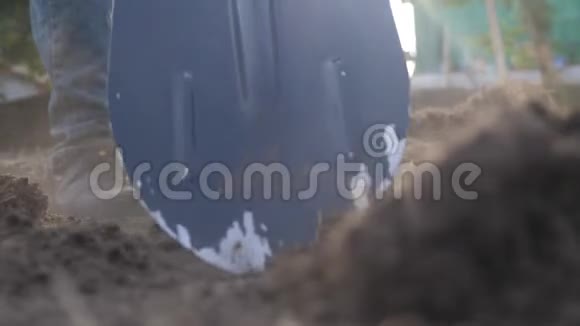农夫用铲子挖地花园特写慢动作录像农夫在花园里工作的生活方式视频的预览图