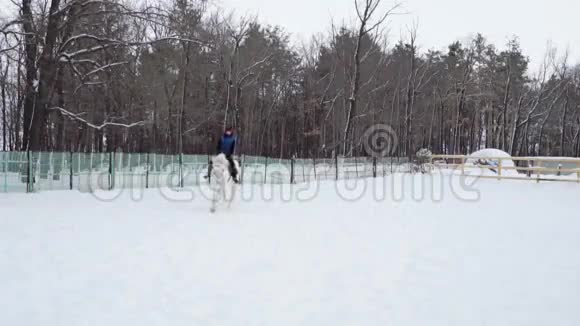 骑马的女骑师在围场里走动她在疾驰多云宁静的冬日下了点雪慢镜头视频的预览图