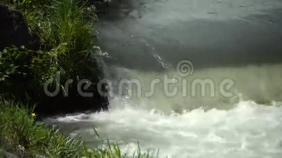 小瀑布和绿色植物视频的预览图