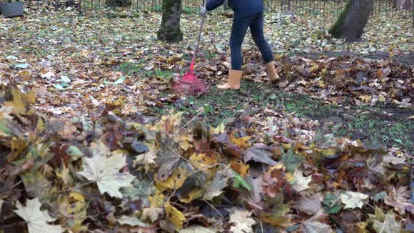 一堆模糊的叶子和女人的腿在胶靴里用耙子耙树叶4K视频的预览图