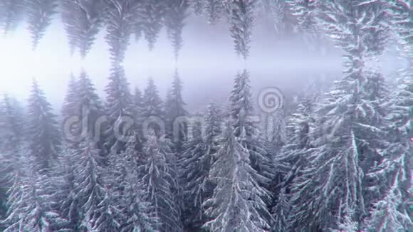 用镜面效果抽象出两片雪山森林的空中景观动画超现实颠倒镜像世界赢视频的预览图