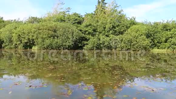 池塘视频的预览图